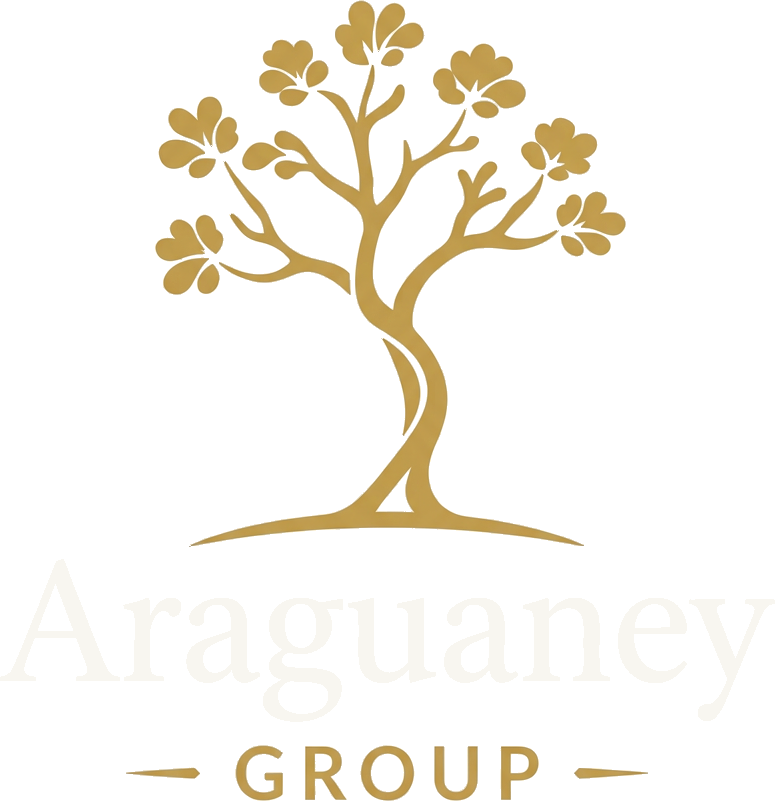 ARAGUANEY GROUP LLC